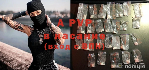 ECSTASY Козельск