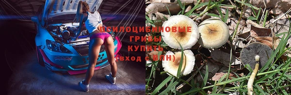ECSTASY Козельск