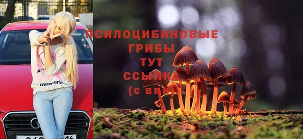 МДПВ Красноперекопск
