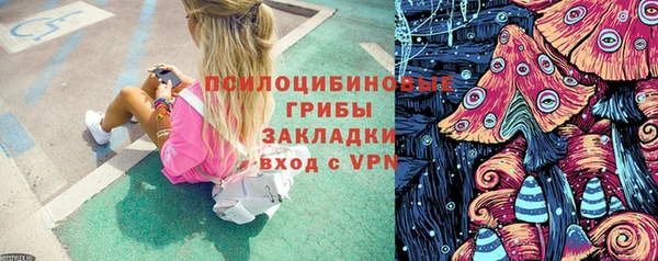 ECSTASY Козельск