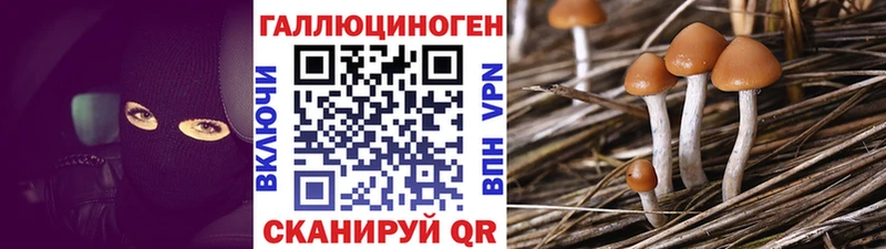 Псилоцибиновые грибы Psilocybine cubensis  Купить где  Бирюч 